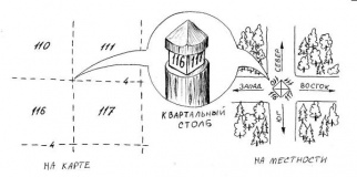 как сходить в лес за грибами и вернуться домой - фото - 6