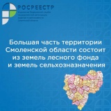 большая часть территории Смоленской области состоит из земель лесного фонда и земель сельхозназначения - фото - 1