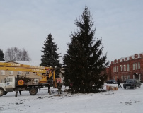 в Демидове установили новогоднюю елку - фото - 2