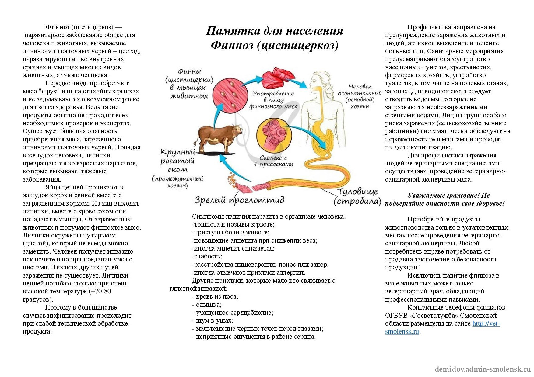 В рамках профилактики | 22.03.2023 | Демидов - БезФормата