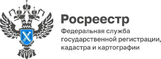 за 6 месяцев 2024 года специалистами госземнадзора Управления Росреестра по Смоленской области проведено 506 контрольных (надзорных) мероприятий - фото - 1