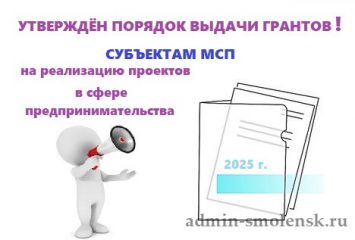 порядок предоставления грантов в форме субсидий в 2025 году - фото - 1