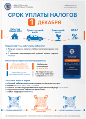 1 декабря срок уплаты налогов - 1 1 декабря срок уплаты налогов - фото - 1