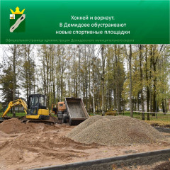 хоккей и воркаут: в Демидове обустраивают новые спортивные площадки - фото - 4