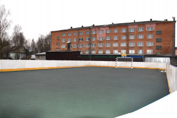 в Демидове появилась новая хоккейная площадка - фото - 3