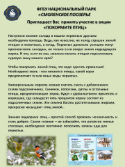 всероссийская природоохранная акция «Покормите птиц!» - фото - 1