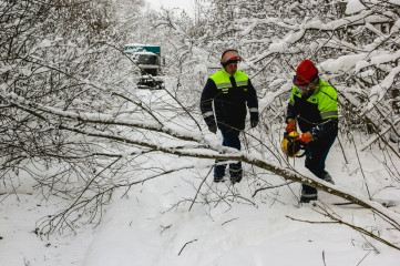 энергетики «Смоленскэнерго» устраняют последствия сильного снегопада - фото - 1