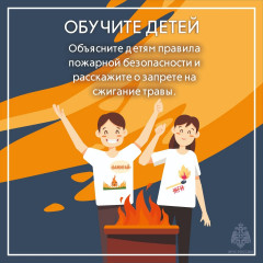 пал сухой травы запрещен - фото - 10